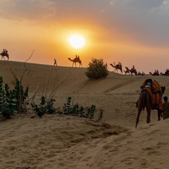 Jaisalmer Tour Packages