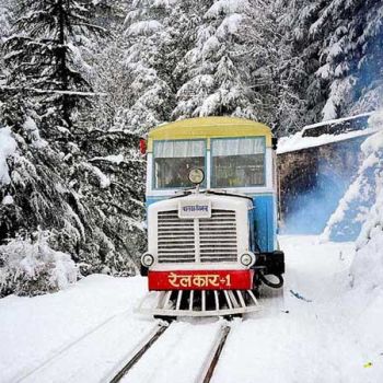 Shimla Tour Packages