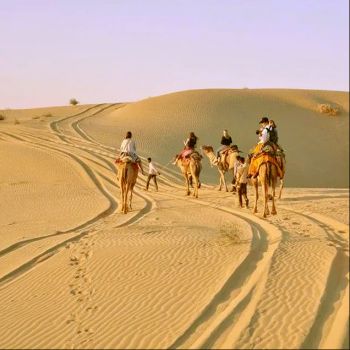 Desert Safari Tour Packages